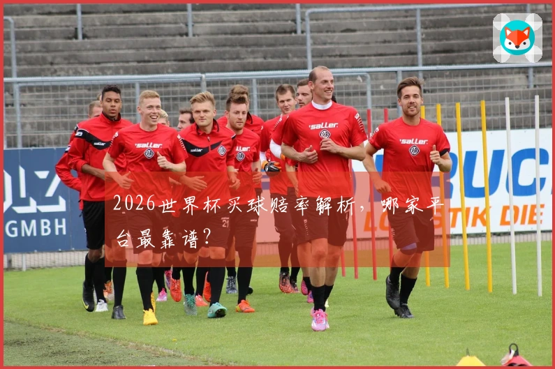 2026世界杯买球赔率解析，哪家平台最靠谱？